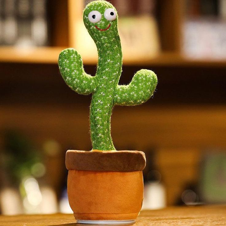 Dancing Cactus